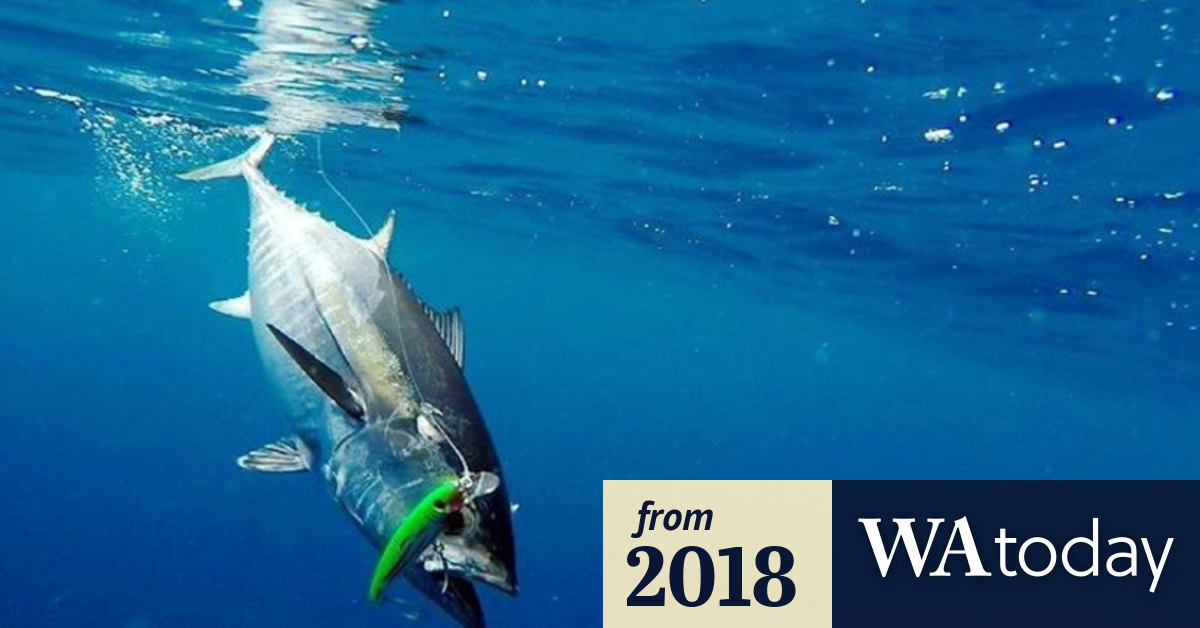 Where the fish are biting off Perth this weekend